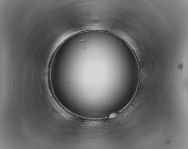 X0000097651187200802291443