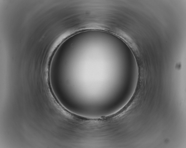 X0000097651188200802291443