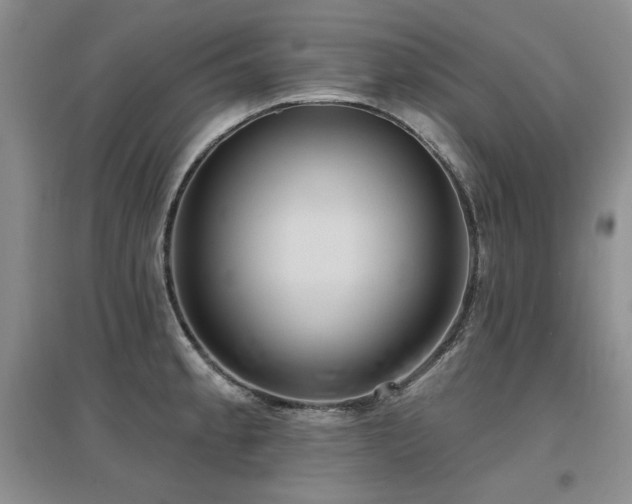 X0000097651189200802291443