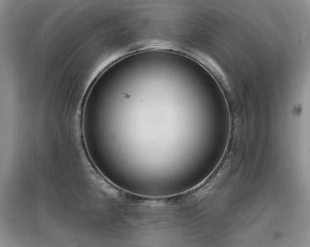 X0000097651190200802291443
