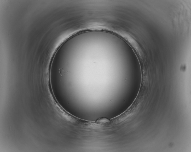 X0000097651191200802291443