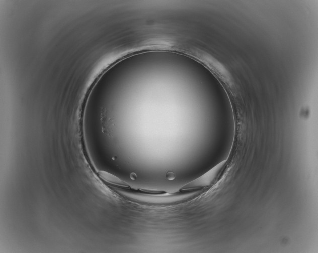 X0000097651192200802291443