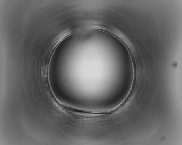 X0000097651193200802291443