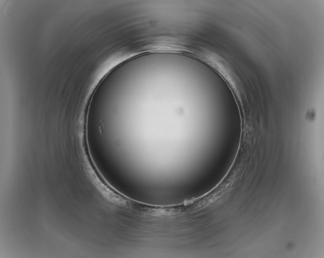 X0000097651195200802291443