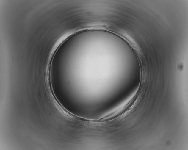 X0000097651196200802291443