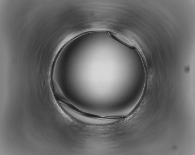 X0000097651197200802291443