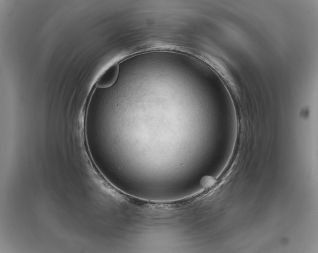 X0000097651198200802291443