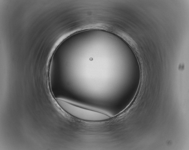 X0000097651200200802291443