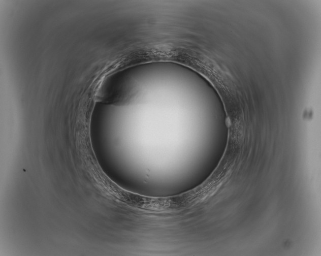 X0000097651201200802291442