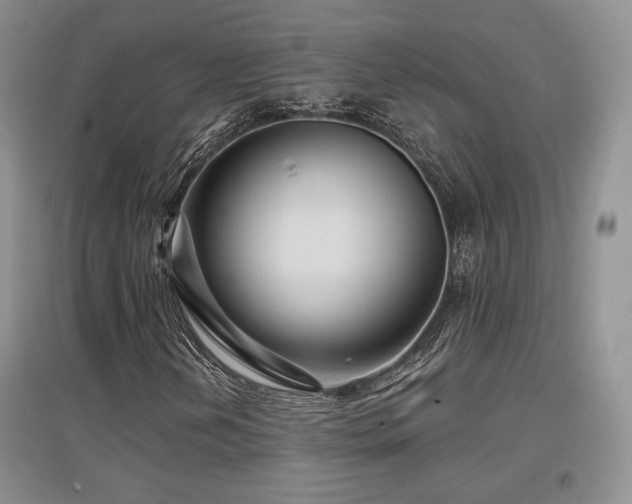 X0000097651202200802291442