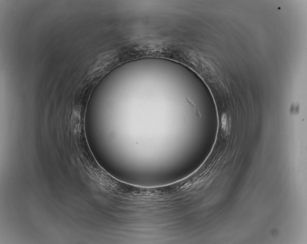 X0000097651203200802291442