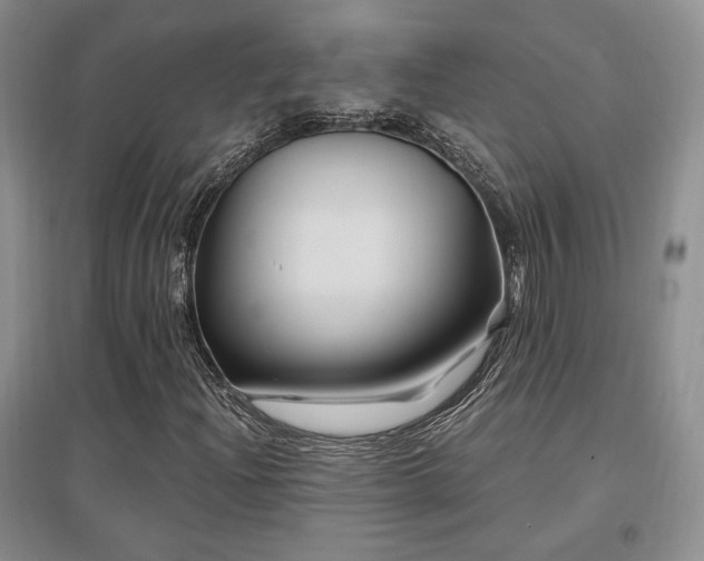 X0000097651204200802291442