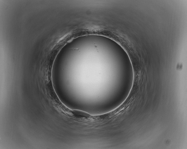 X0000097651205200802291442