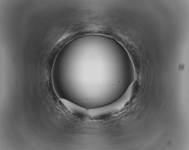 X0000097651206200802291442