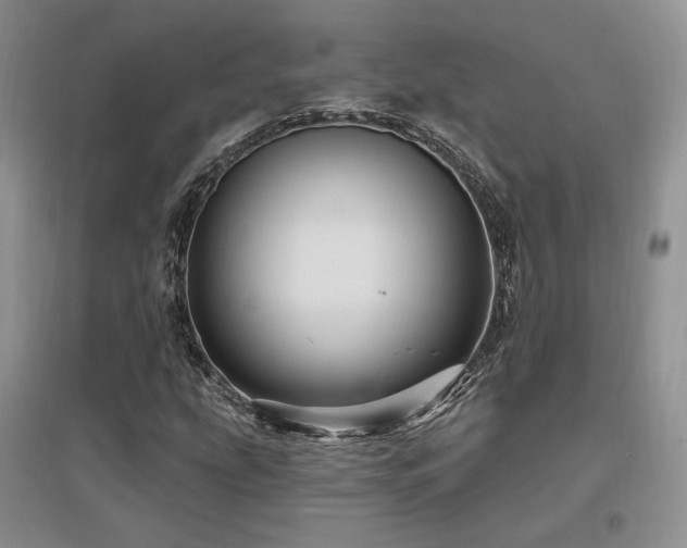 X0000097651207200802291442