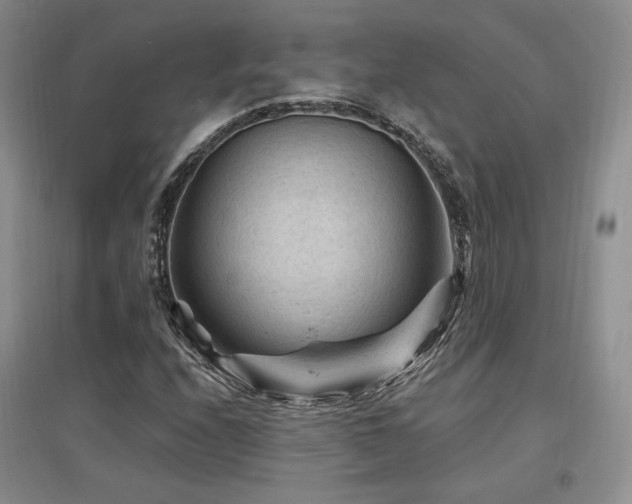 X0000097651208200802291442