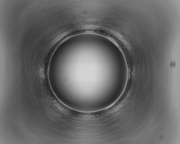 X0000097651209200802291442