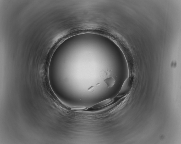 X0000097651210200802291442
