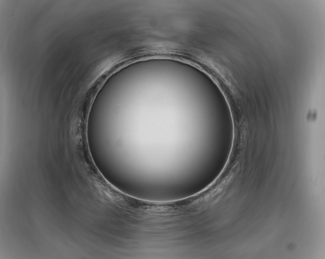 X0000097651211200802291442