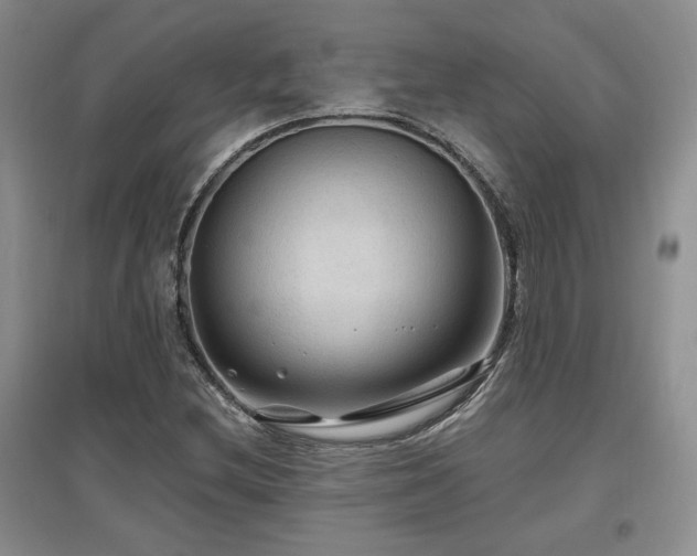 X0000097651212200802291442