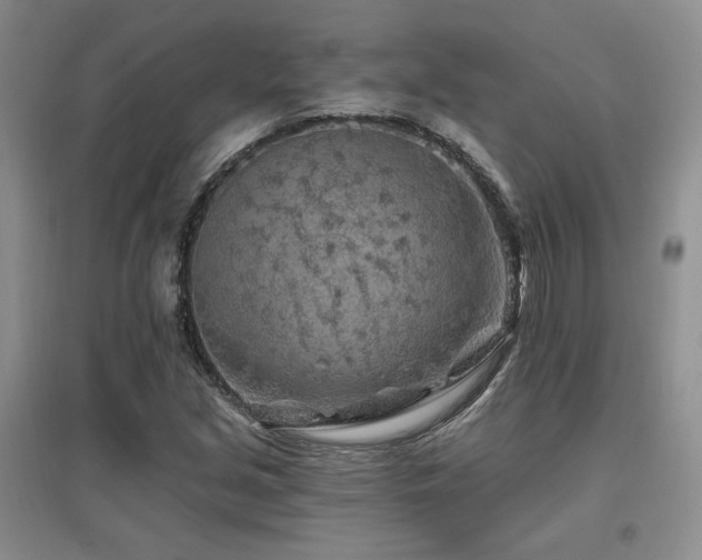 X0000097651213200802291442
