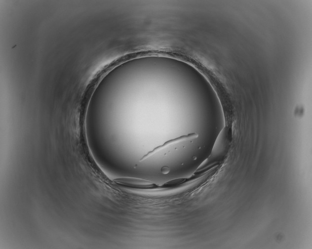 X0000097651214200802291442