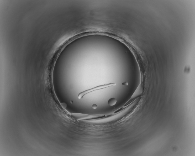 X0000097651215200802291442