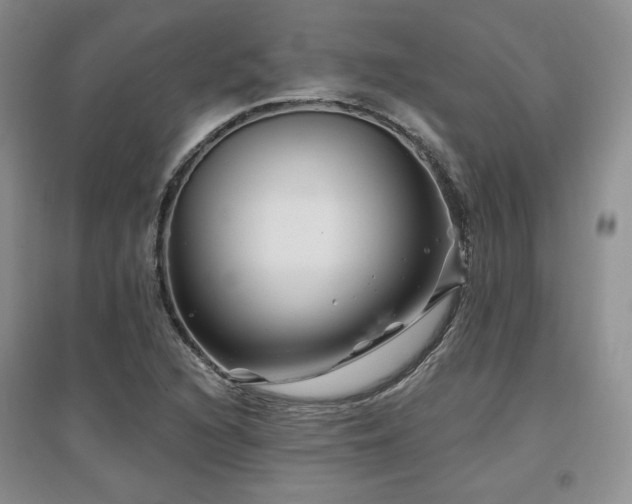 X0000097651216200802291442