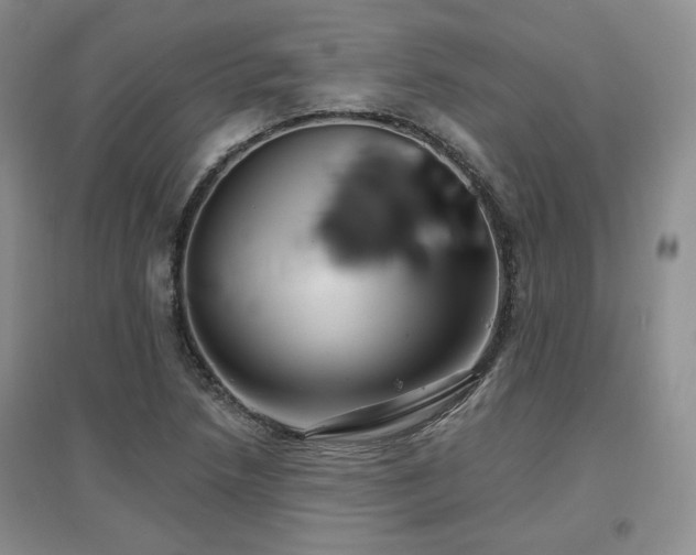 X0000097651218200802291442