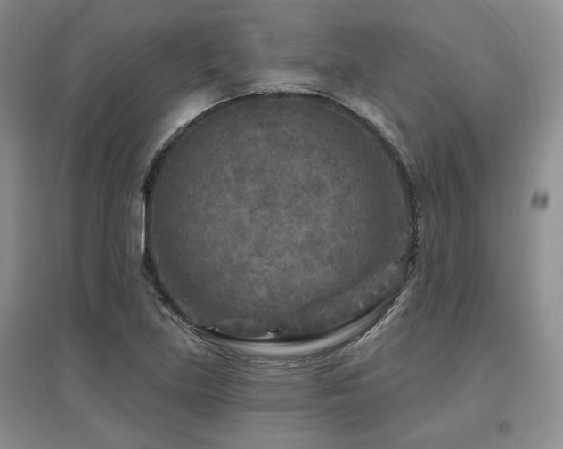 X0000097651219200802291442