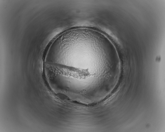 X0000097651221200802291442