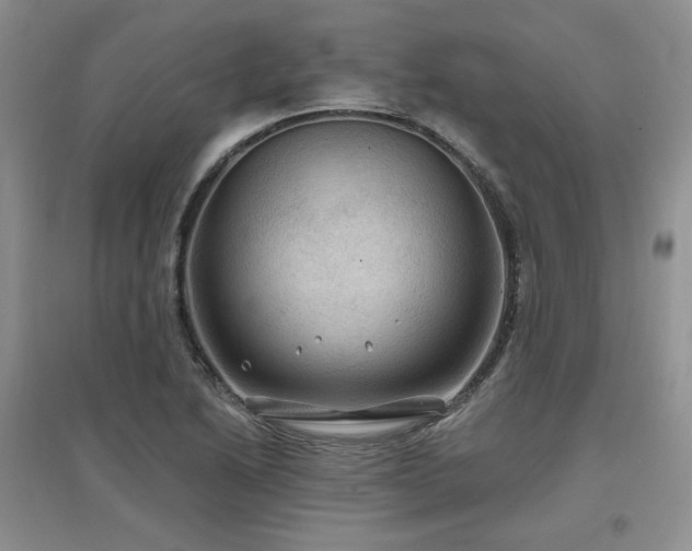 X0000097651222200802291442