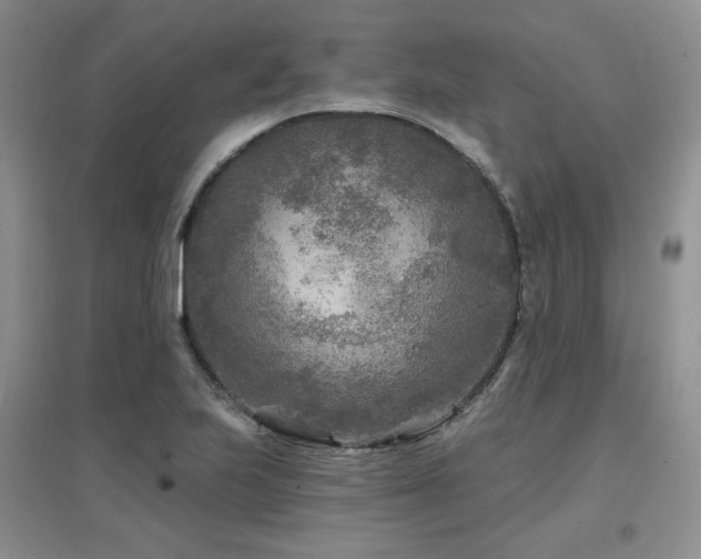 X0000097651223200802291442