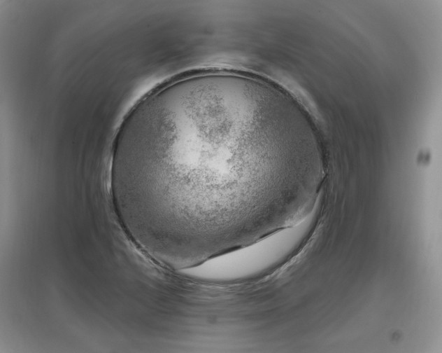 X0000097651224200802291442