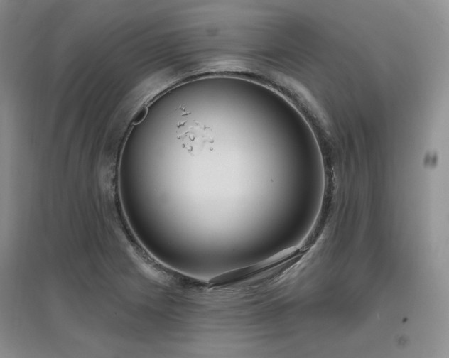 X0000097651225200802291442