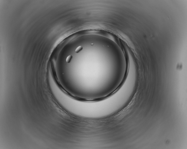 X0000097651226200802291442