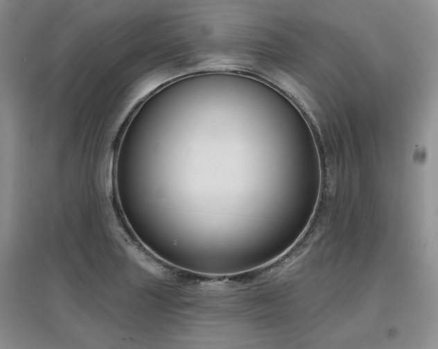 X0000097651227200802291442