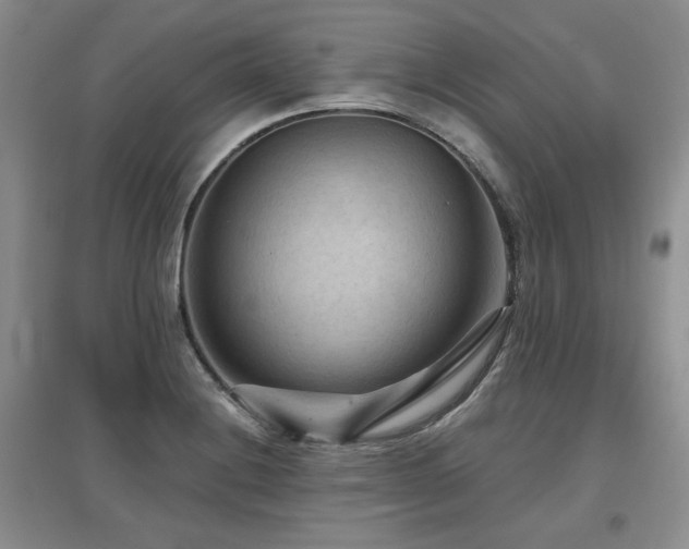 X0000097651228200802291442