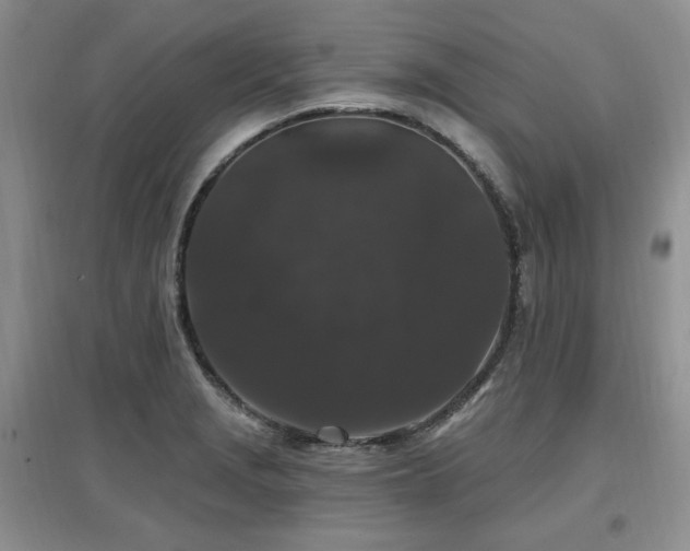 X0000097651229200802291442