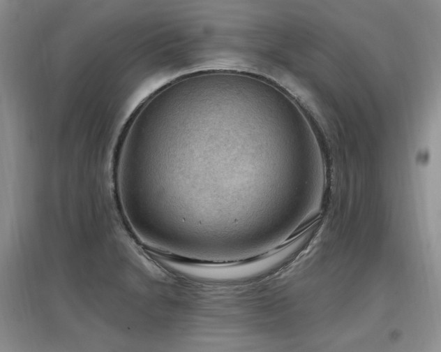 X0000097651230200802291442