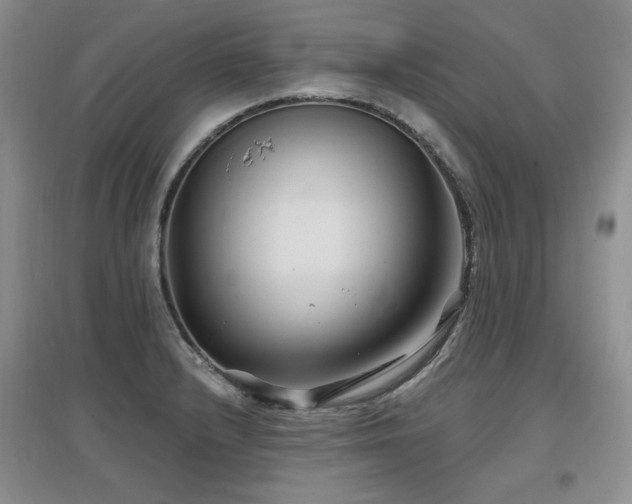 X0000097651232200802291443