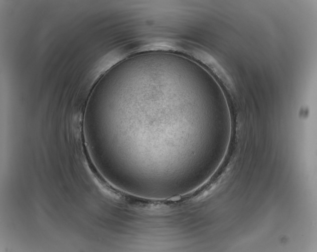 X0000097651233200802291443