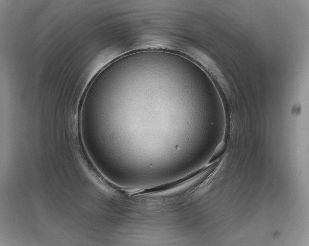 X0000097651234200802291443
