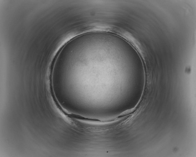X0000097651235200802291443