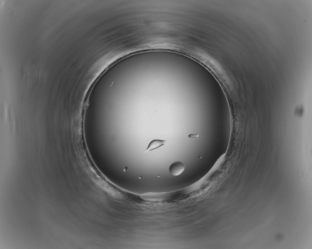 X0000097651236200802291443