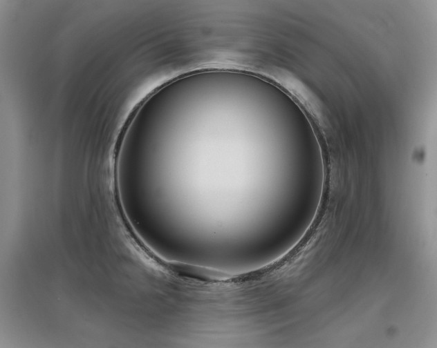 X0000097651238200802291443