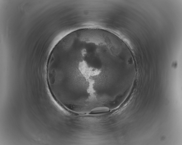 X0000097651239200802291443