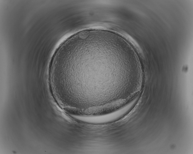 X0000097651240200802291443