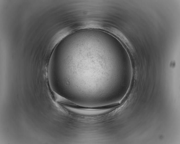 X0000097651241200802291443