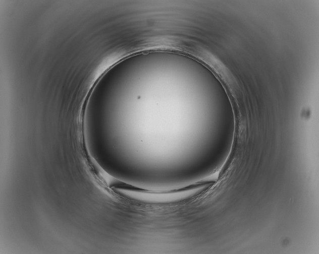 X0000097651242200802291443